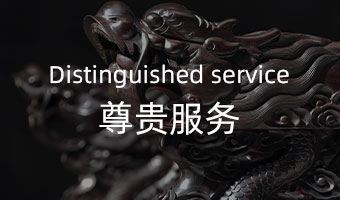 尊贵服务
